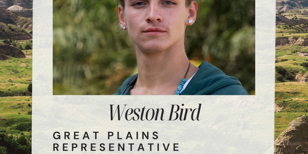 Weston Bird
