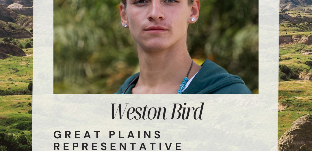 Weston Bird