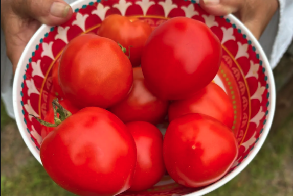 Screenshot 2025-09-23 at 11.21.41 AM