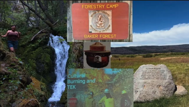 Screenshot 2025-09-23 at 11.57.04 AM