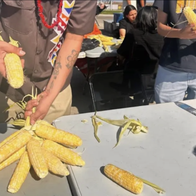 Screenshot 2025-11-12 at 2.36.33 PM