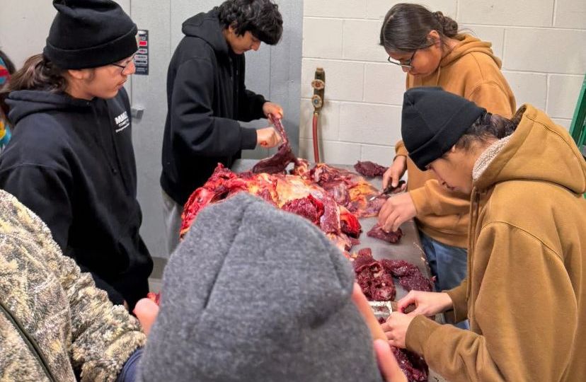 IMG_2036 - Great Plains