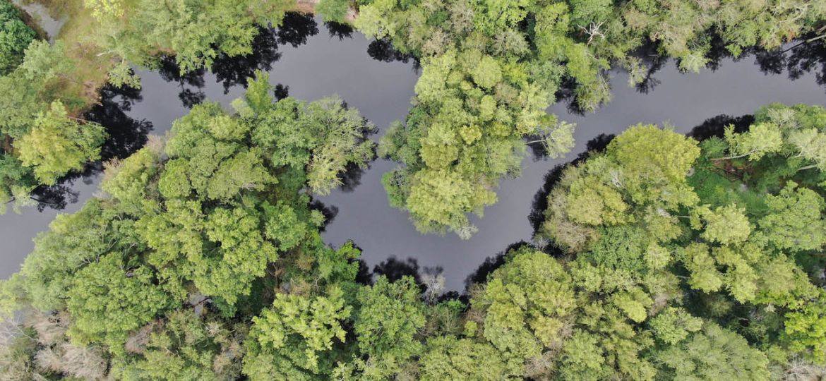 AMRT-NC06_LumberRiverAbove_AndieRea